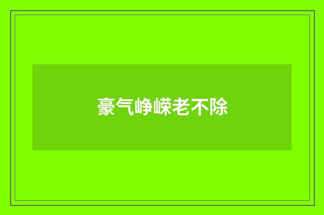 豪气峥嵘老不除