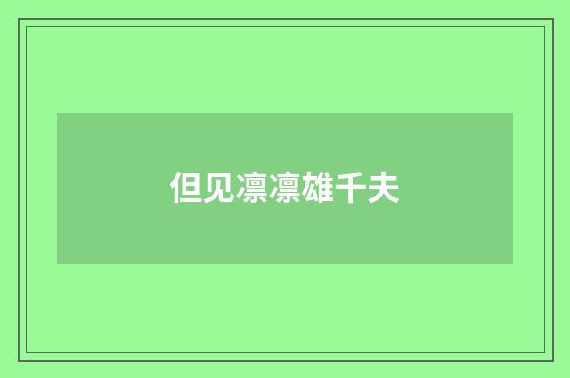但见凛凛雄千夫