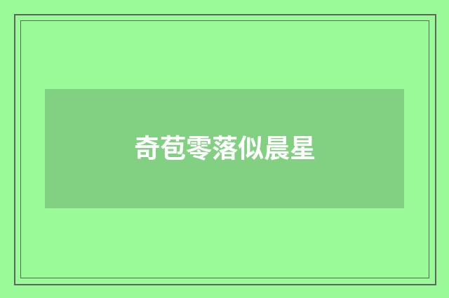 奇苞零落似晨星