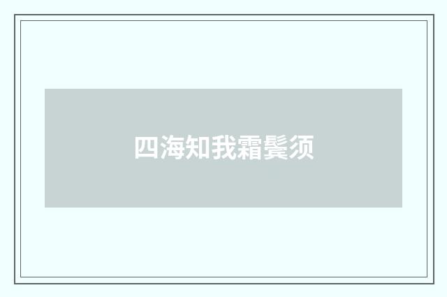 四海知我霜鬓须