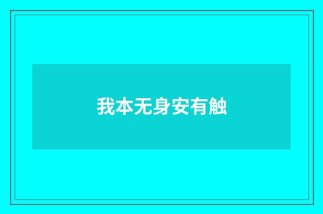 我本无身安有触