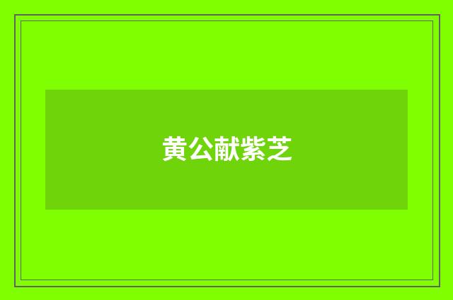 黄公献紫芝