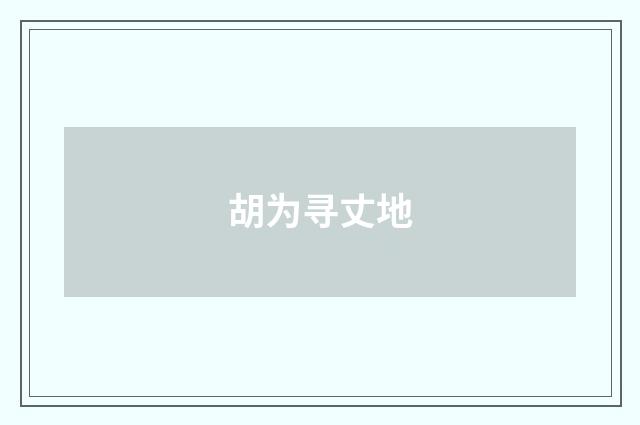 胡为寻丈地