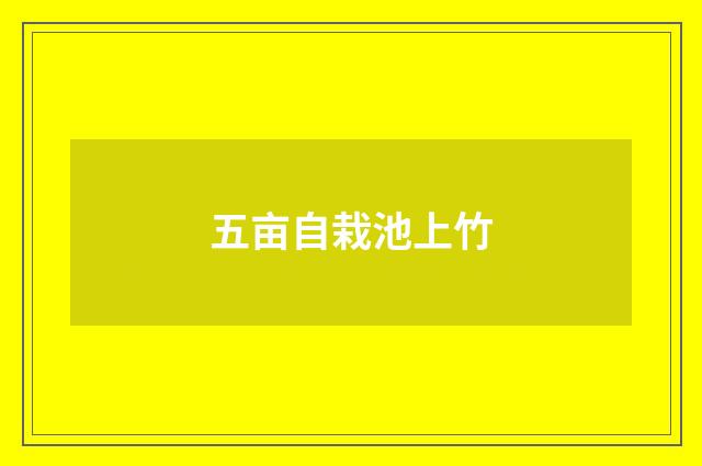五亩自栽池上竹
