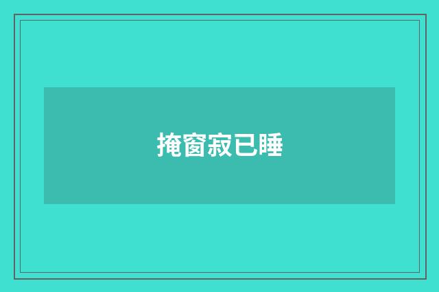 掩窗寂已睡