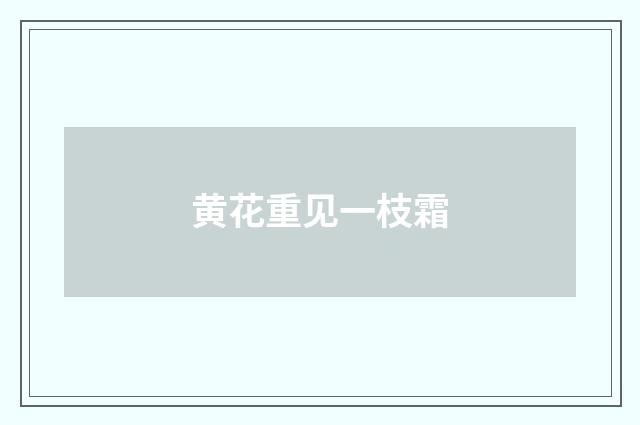 黄花重见一枝霜