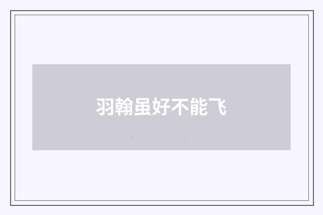 羽翰虽好不能飞