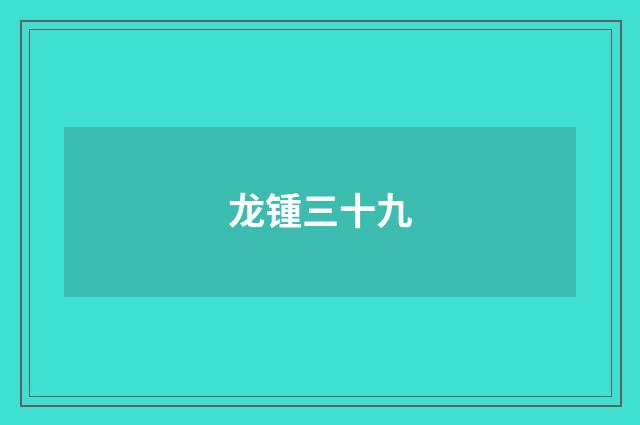 龙锺三十九