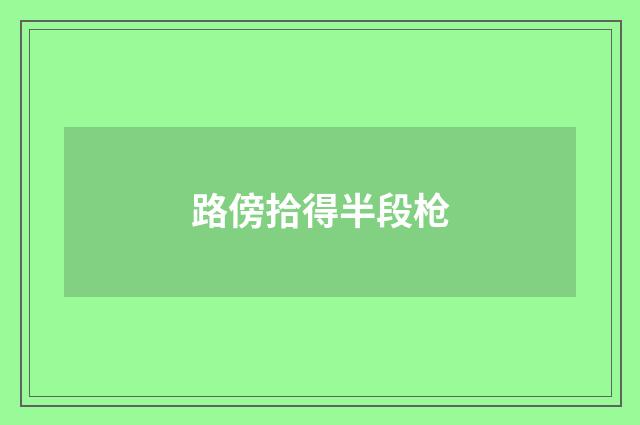 路傍拾得半段枪