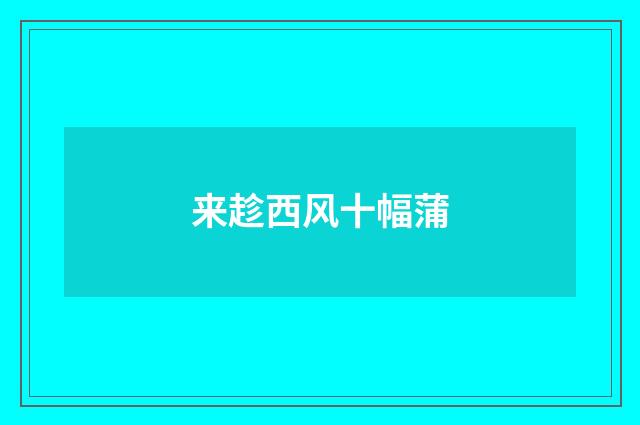 来趁西风十幅蒲