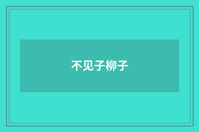 不见子柳子