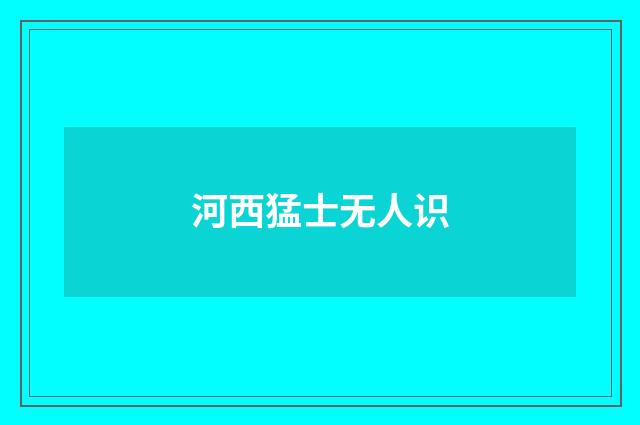 河西猛士无人识