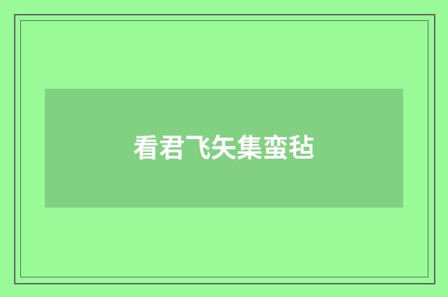 看君飞矢集蛮毡