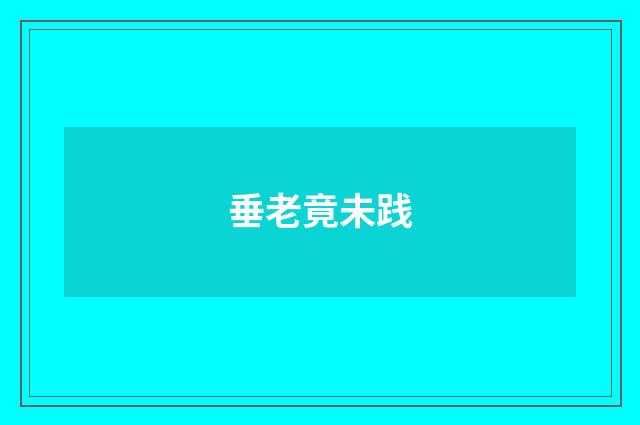 垂老竟未践