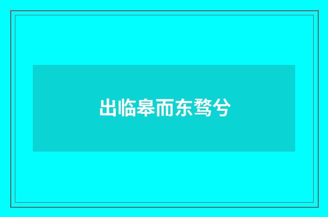 出临皋而东骛兮