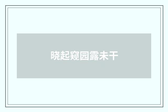 晓起窥园露未干
