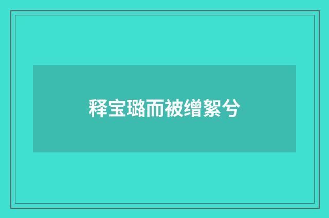 释宝璐而被缯絮兮