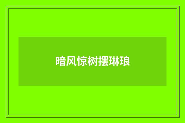 暗风惊树摆琳琅