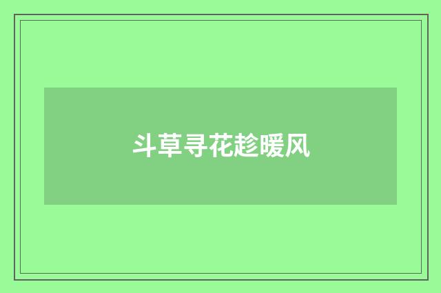 斗草寻花趁暖风