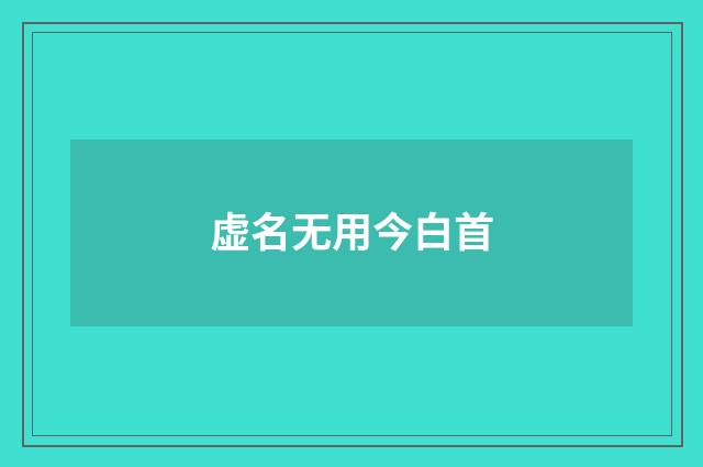 虚名无用今白首
