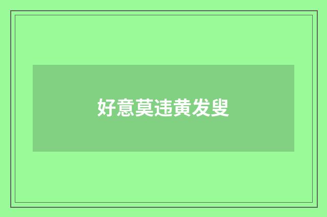 好意莫违黄发叟