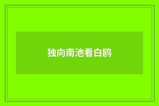 独向南池看白鸥