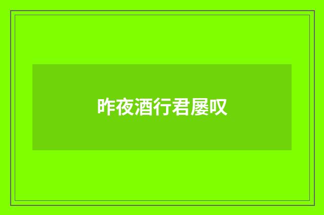 昨夜酒行君屡叹