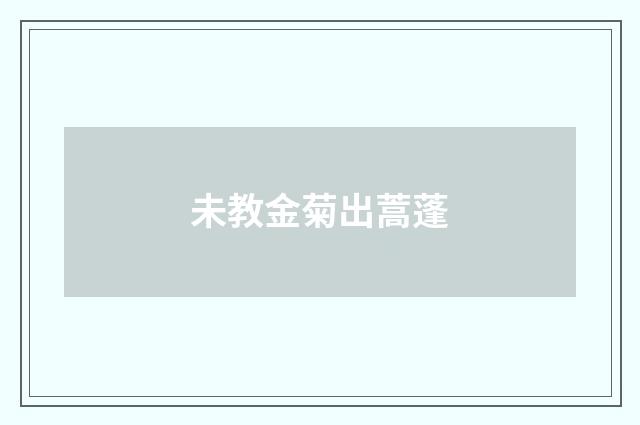 未教金菊出蒿蓬