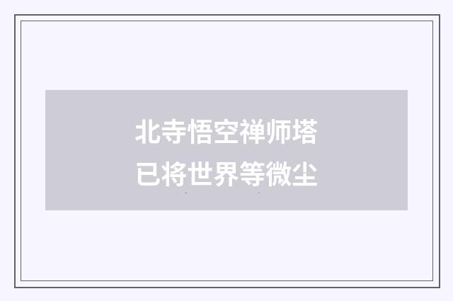北寺悟空禅师塔已将世界等微尘