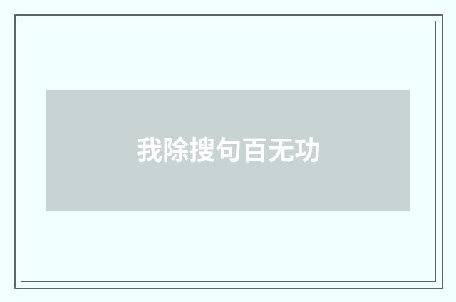 我除搜句百无功