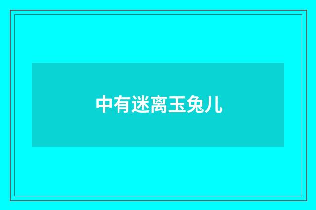 中有迷离玉兔儿