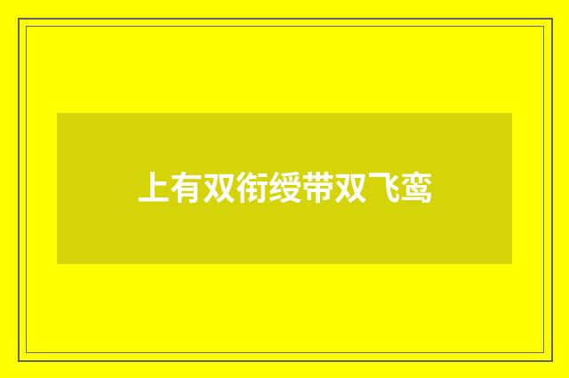 上有双衔绶带双飞鸾