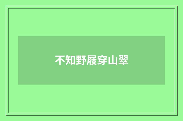 不知野屐穿山翠