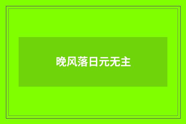 晚风落日元无主