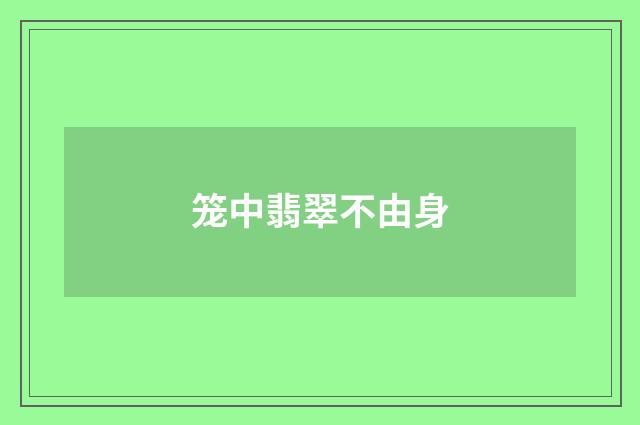笼中翡翠不由身