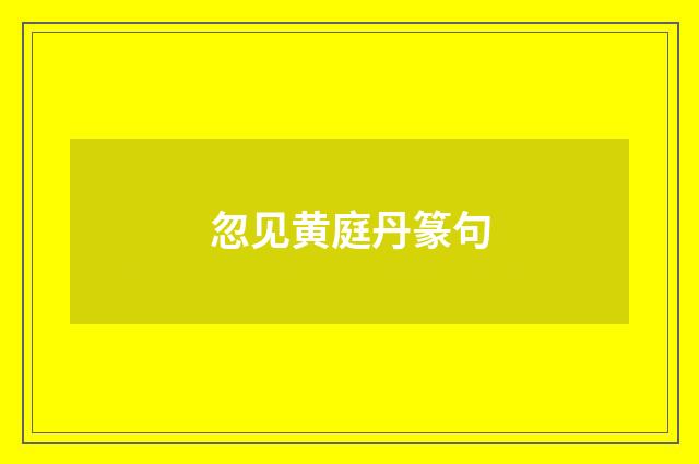 忽见黄庭丹篆句