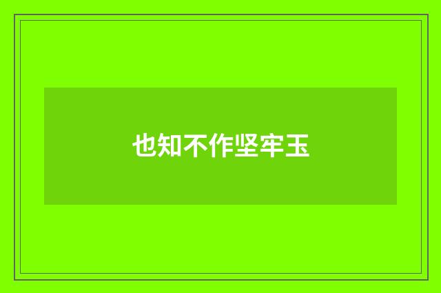 也知不作坚牢玉