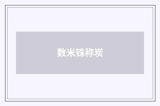 数米铢称炭