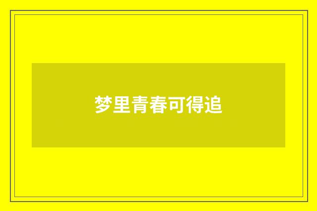 梦里青春可得追