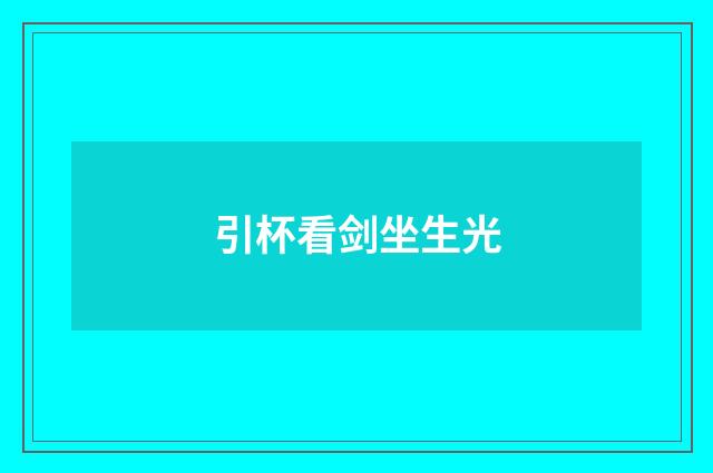 引杯看剑坐生光