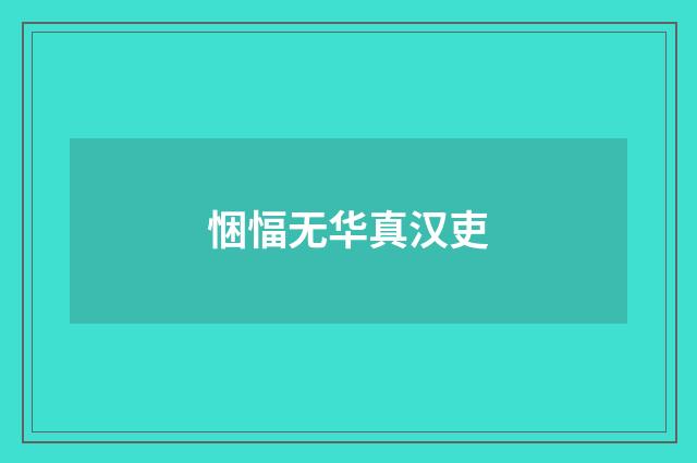 悃愊无华真汉吏