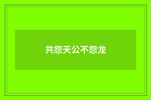 共怨天公不怨龙