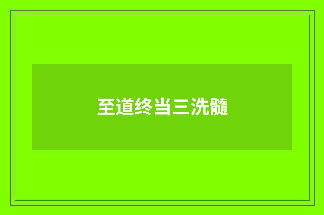 至道终当三洗髓