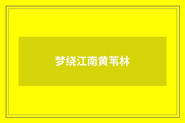 梦绕江南黄苇林