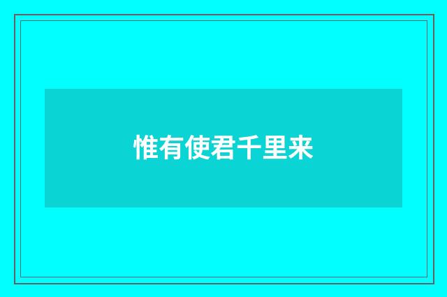 惟有使君千里来