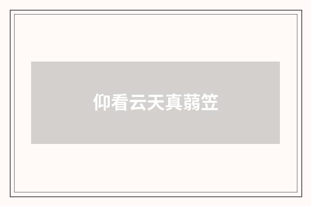 仰看云天真蒻笠