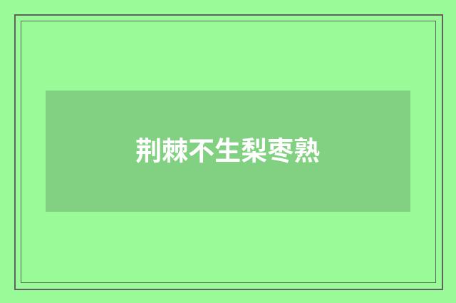 荆棘不生梨枣熟