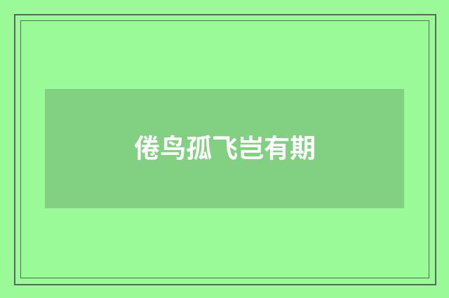 倦鸟孤飞岂有期