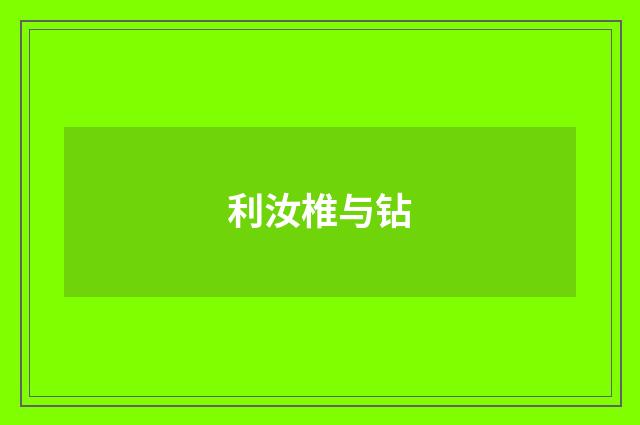 利汝椎与钻