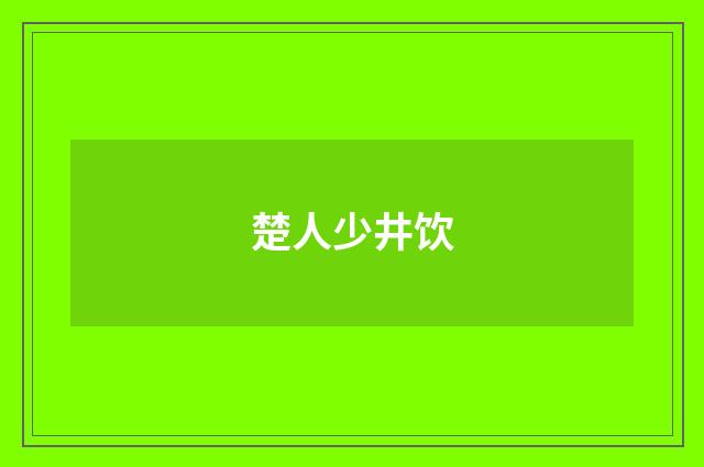 楚人少井饮
